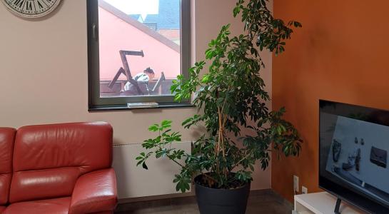 salon RJL